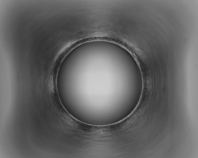 X0000112941262200908311442