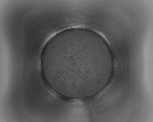 X0000112941263200908311442