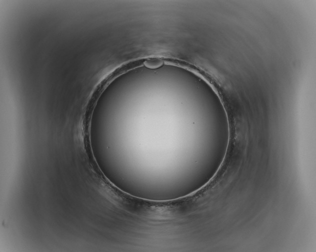 X0000112941264200908311442