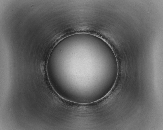X0000112941265200908311442