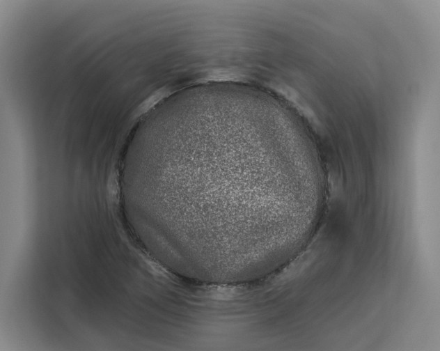 X0000112941266200908311442