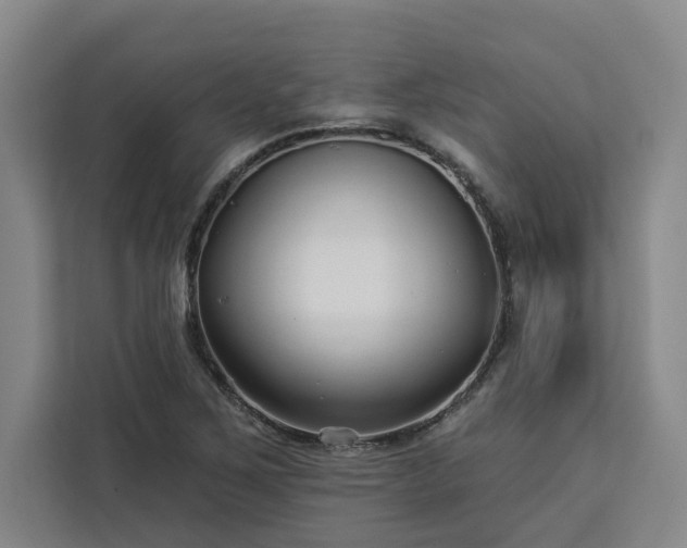 X0000112941267200908311442
