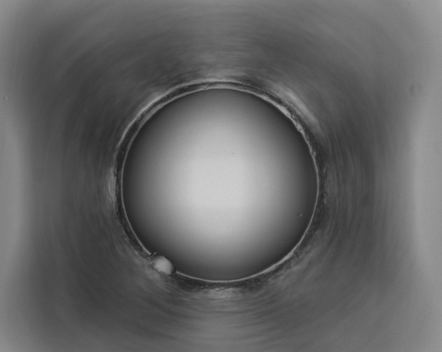 X0000112941268200908311442