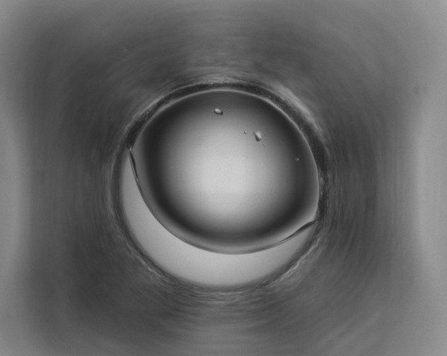 X0000112941269200908311442