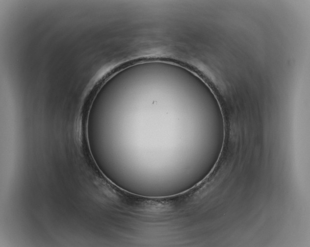 X0000112941270200908311442