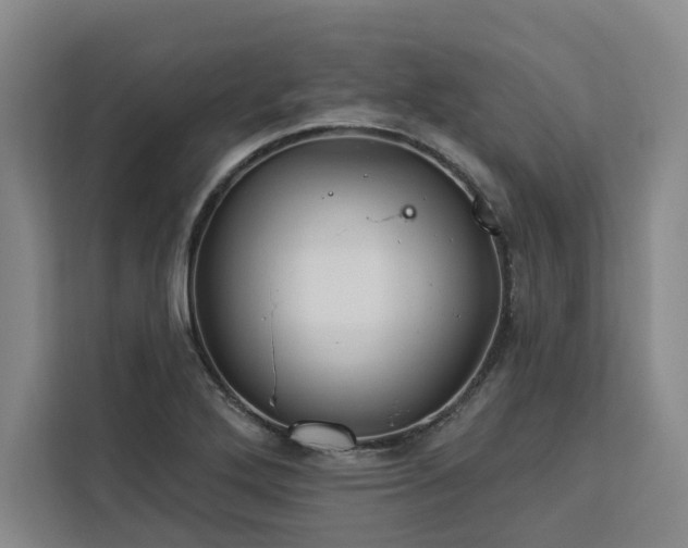 X0000112941272200908311442
