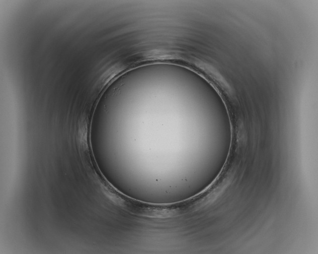 X0000112941273200908311442