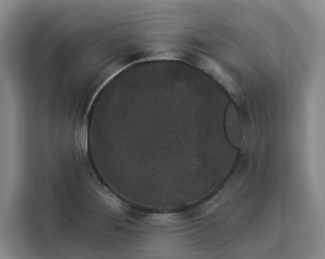 X0000112941276200908311442