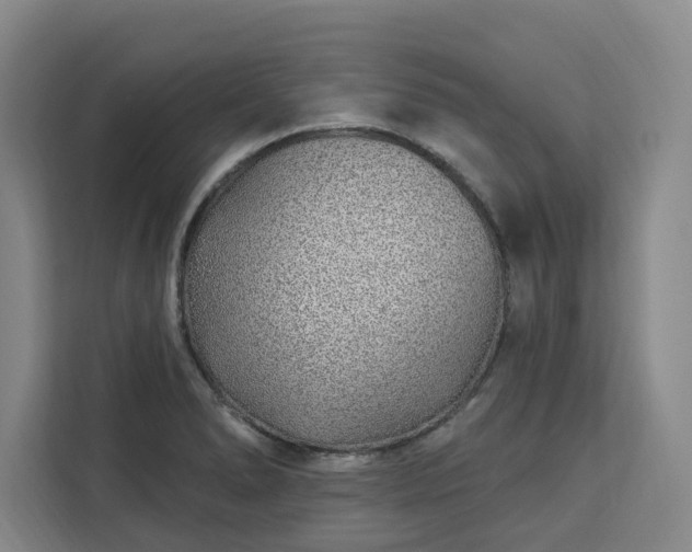 X0000112941278200908311442