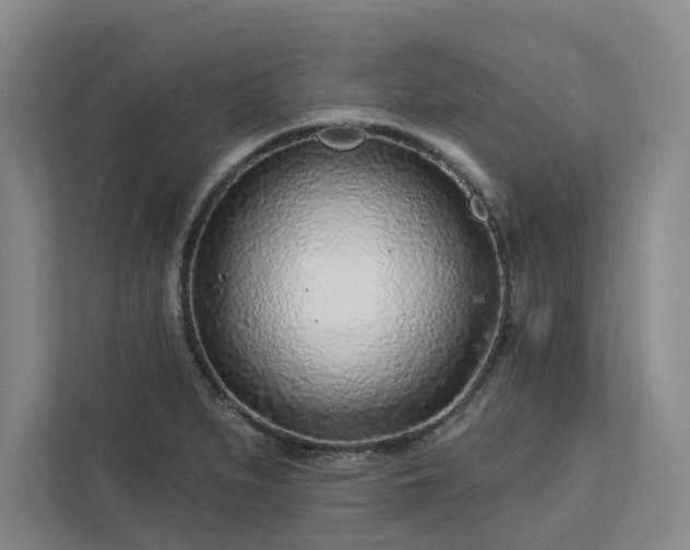 X0000112941279200908311442