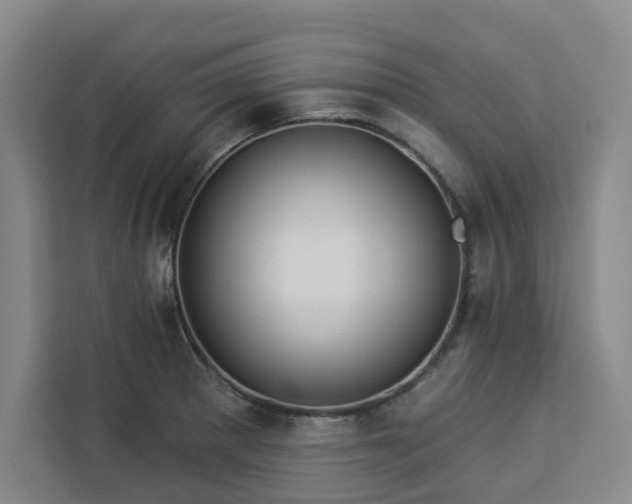 X0000112941281200908311442