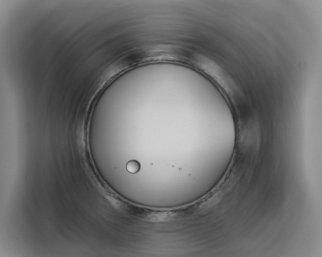 X0000112941282200908311442