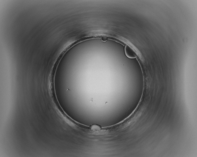 X0000112941285200908311441