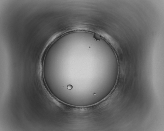 X0000112941286200908311441