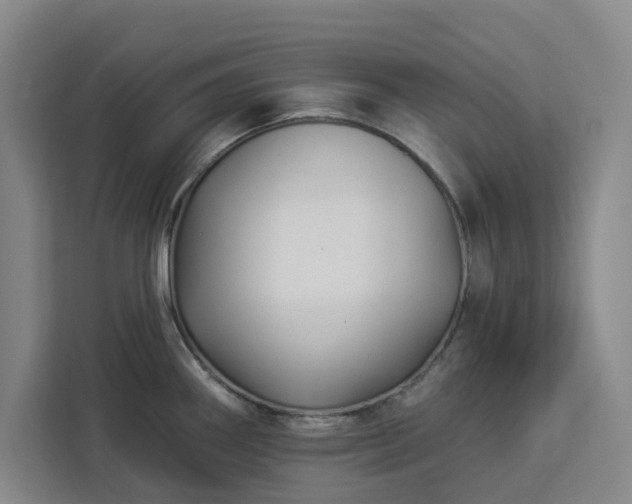X0000112941290200908311441