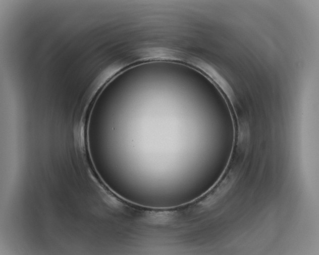 X0000112941293200908311441