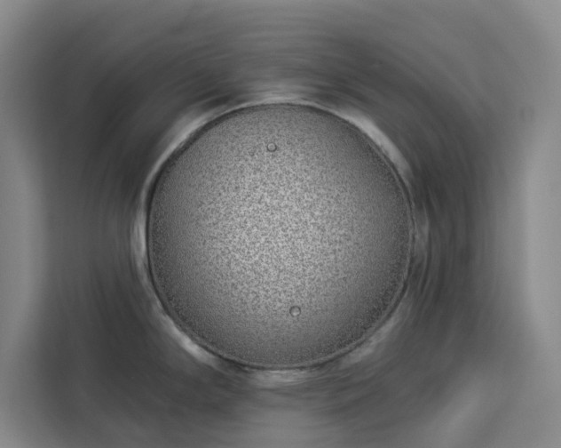 X0000112941294200908311441