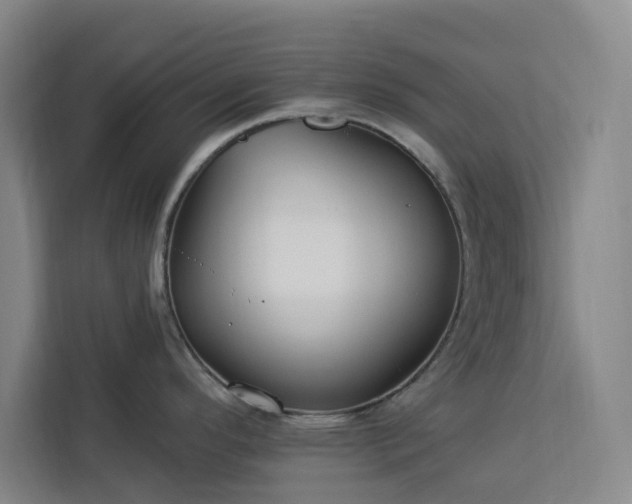 X0000112941296200908311441