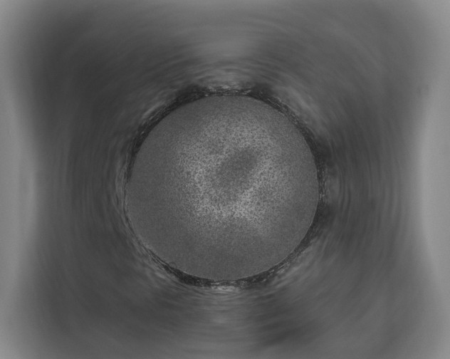 X0000112941297200908311441