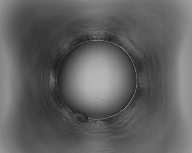 X0000112941298200908311441