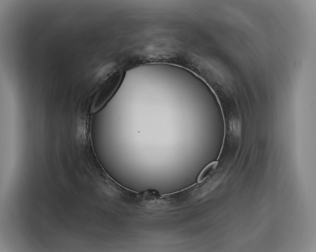 X0000112941300200908311441