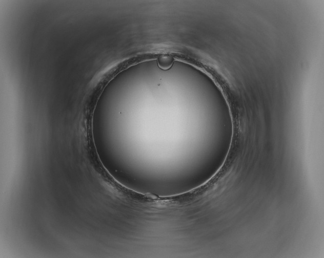X0000112941304200908311441