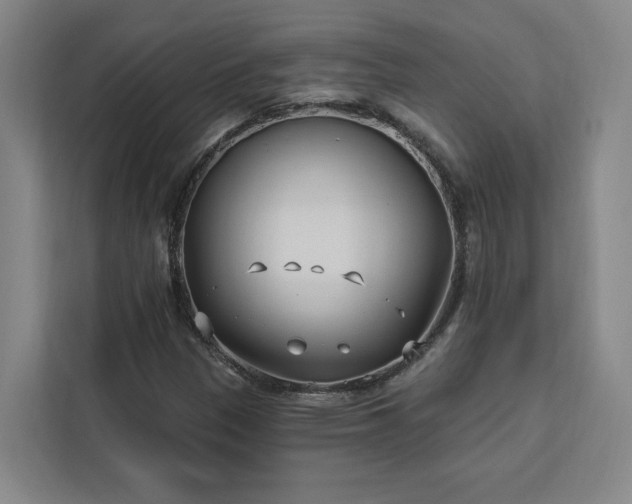 X0000112941305200908311441