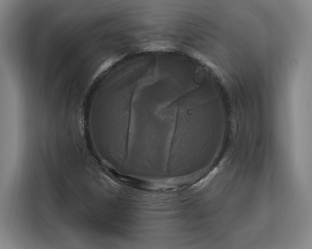 X0000112941306200908311441