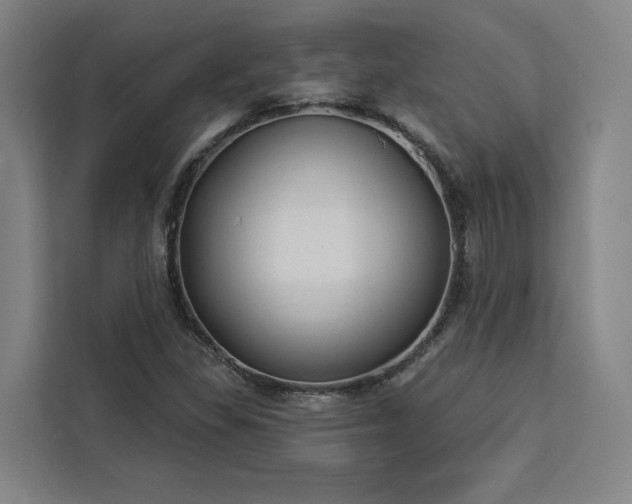 X0000112941309200908311441