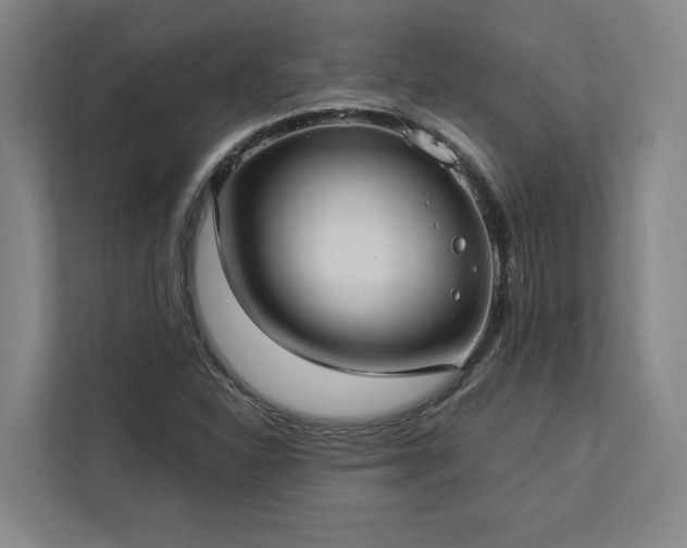 X0000112941310200908311441