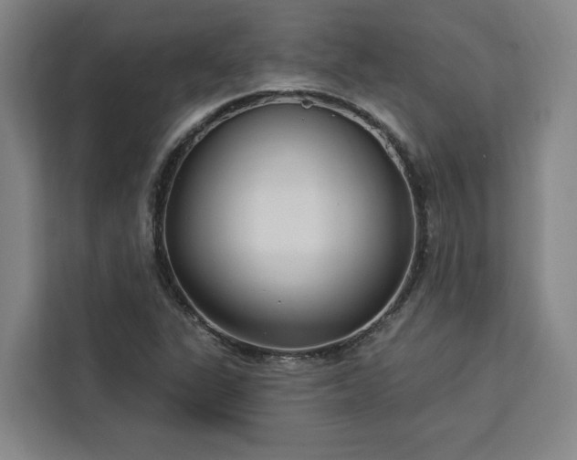 X0000112941311200908311441