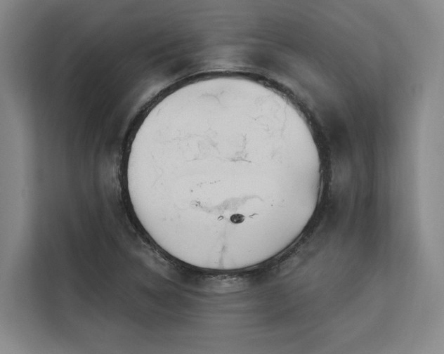 X0000112941314200908311441