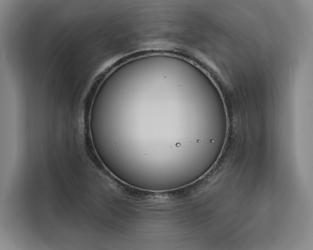 X0000112941315200908311441