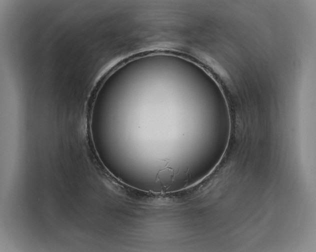 X0000112941316200908311441