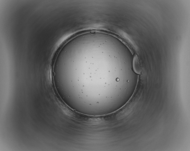 X0000112941320200908311441