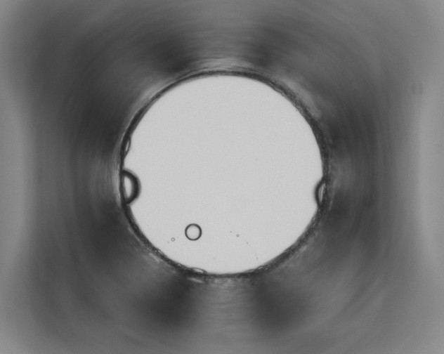 X0000112941322200908311441