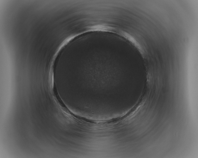 X0000112941323200908311441