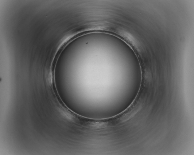 X0000112941324200908311441