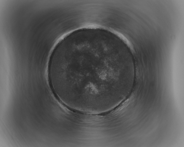 X0000112941327200908311441
