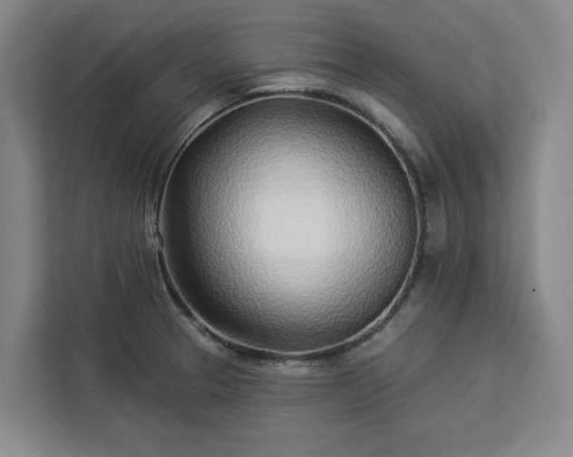 X0000112941329200908311441