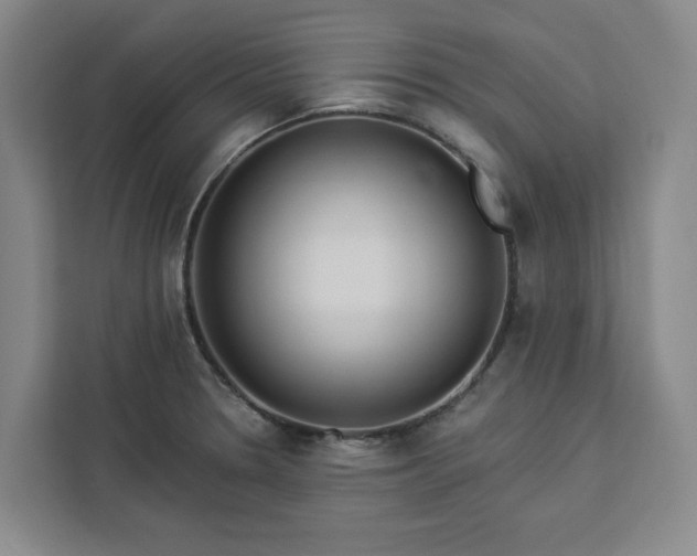 X0000112941330200908311441