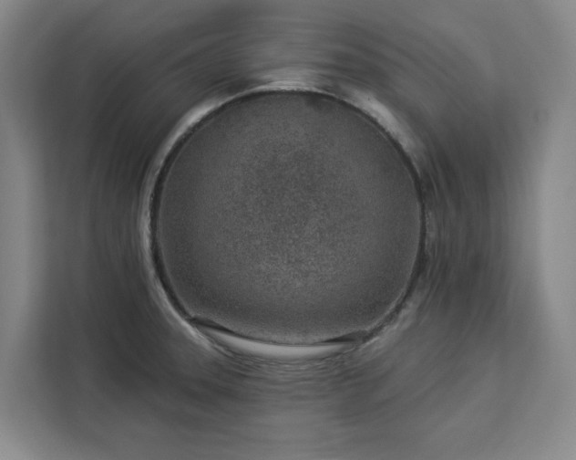 X0000112941331200908311441