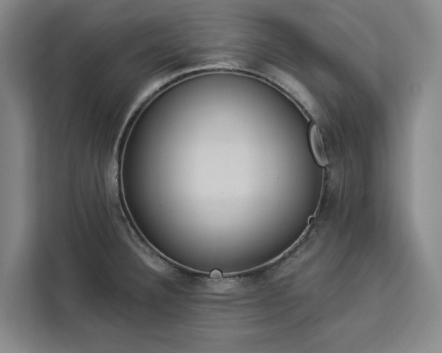 X0000112941332200908311441