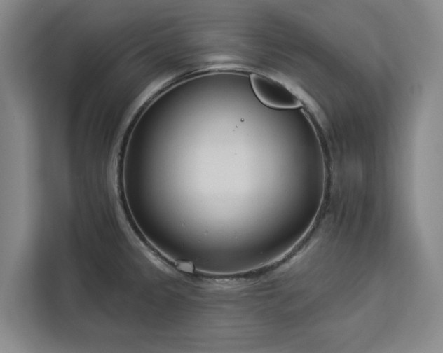 X0000112941333200908311441