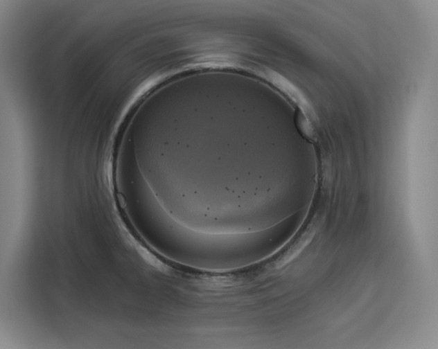 X0000112941334200908311441