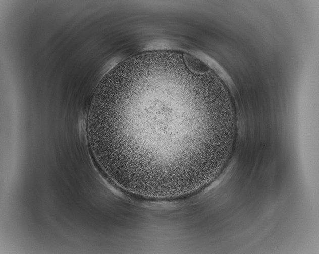 X0000112941337200908311441