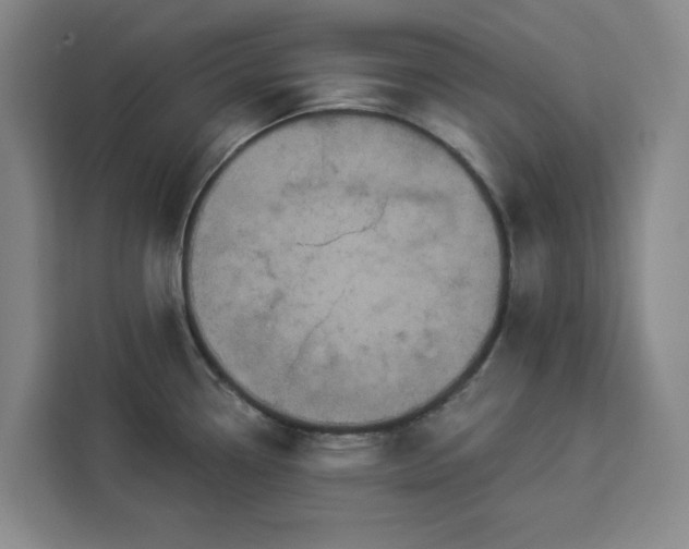 X0000112941338200908311441