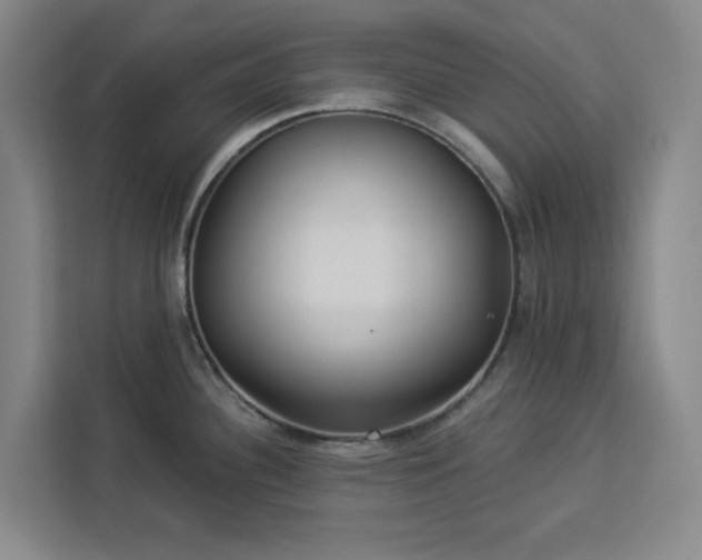 X0000112941340200908311441