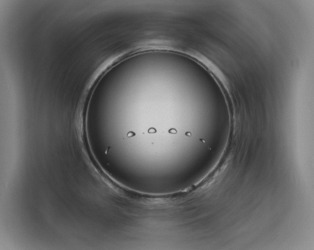 X0000112941341200908311441