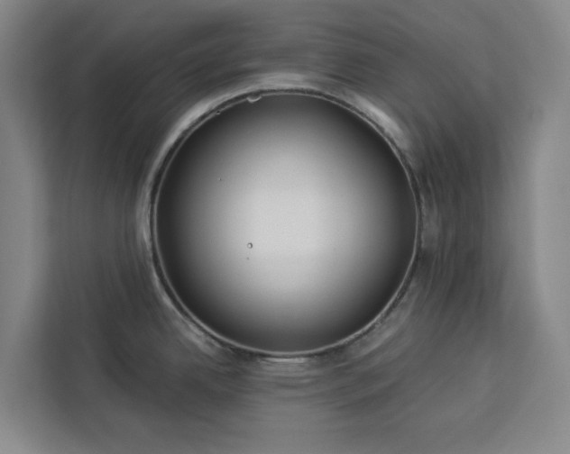 X0000112941342200908311441
